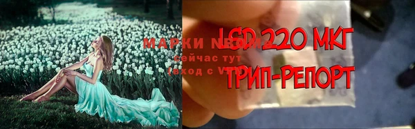 трава Няндома