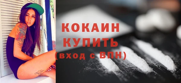 дмт Новокубанск