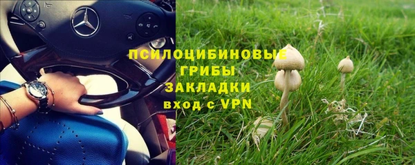 дмт Новокубанск