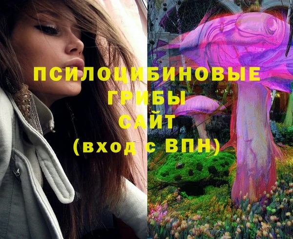 дмт Новозыбков