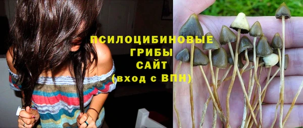 трава Няндома