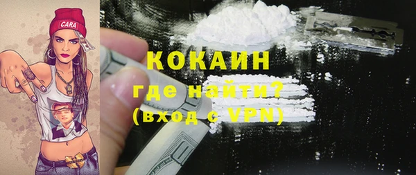 трава Няндома